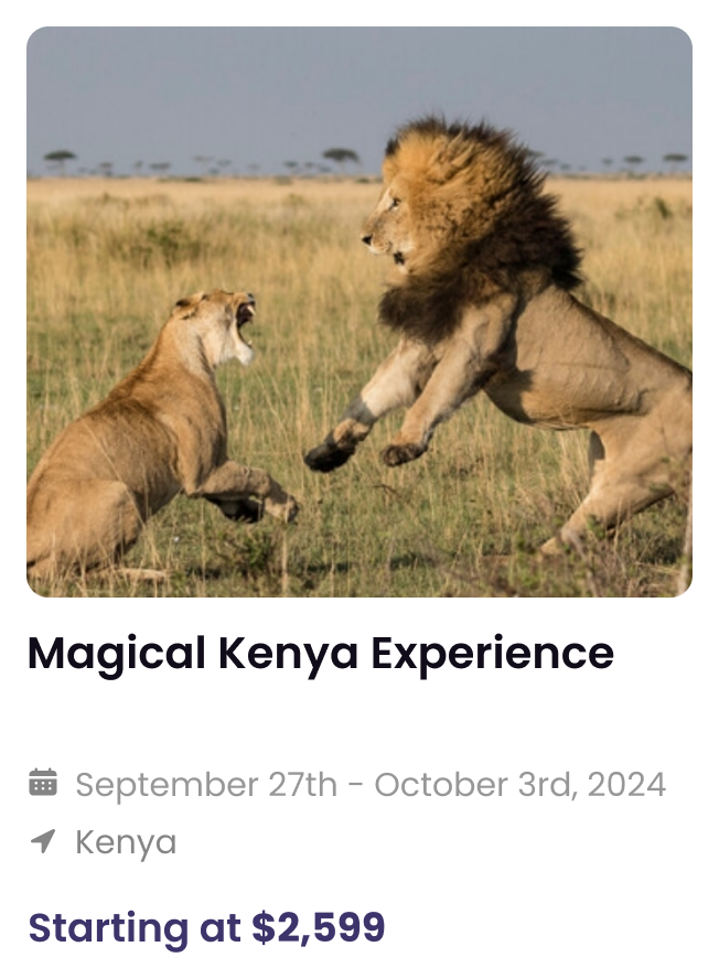 Magical Kenya Experience booking card